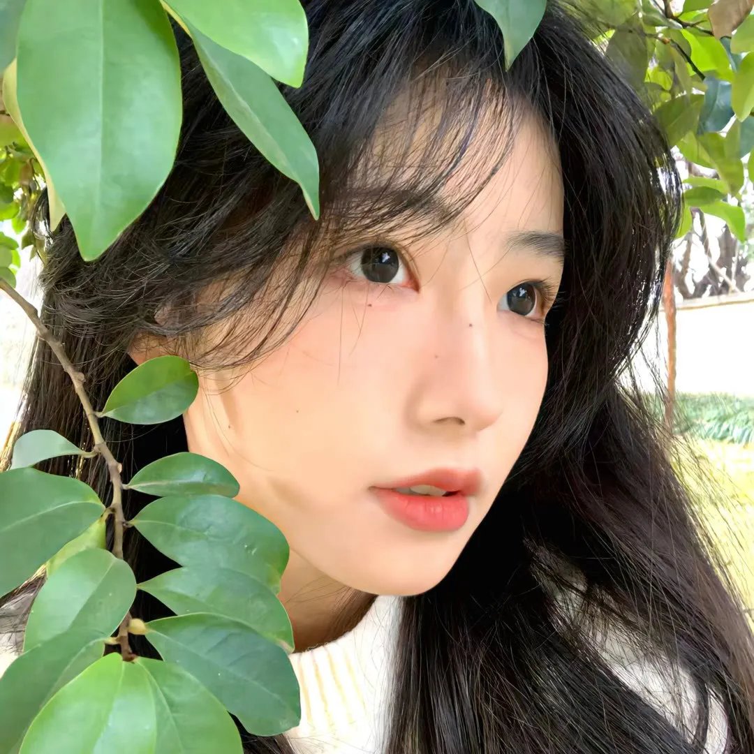 非人之恋
